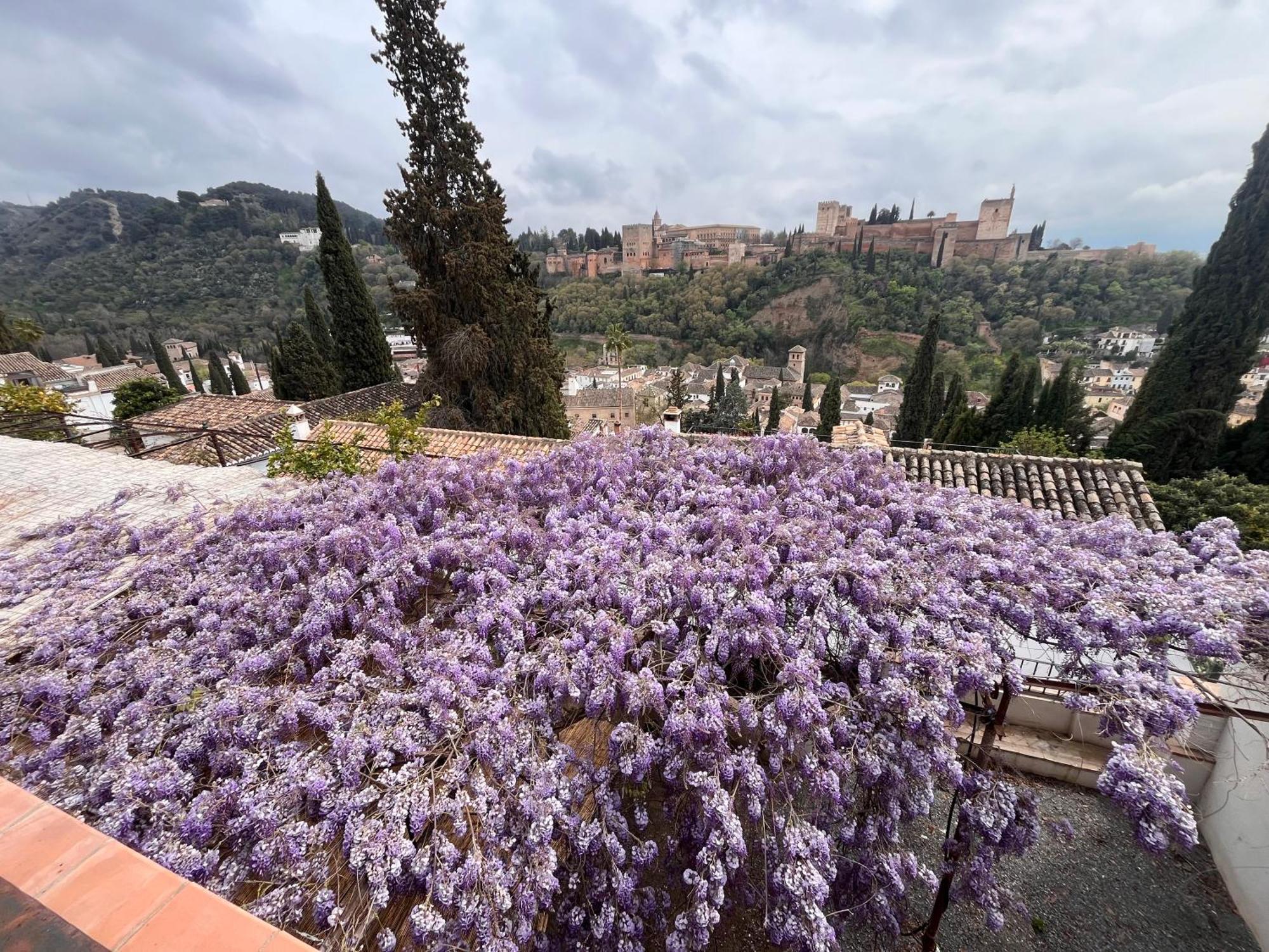 La Casa Juan Ranas Bed & Breakfast Granada Dış mekan fotoğraf